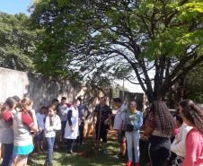 Colégio Estadual do Campo Machado de Assis