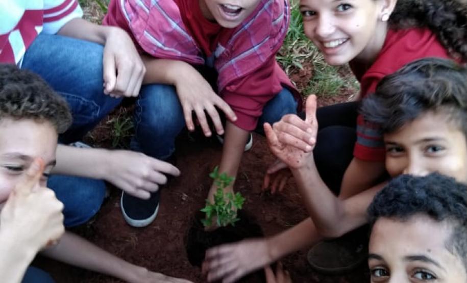 Colégio Estadual Dom Bosco