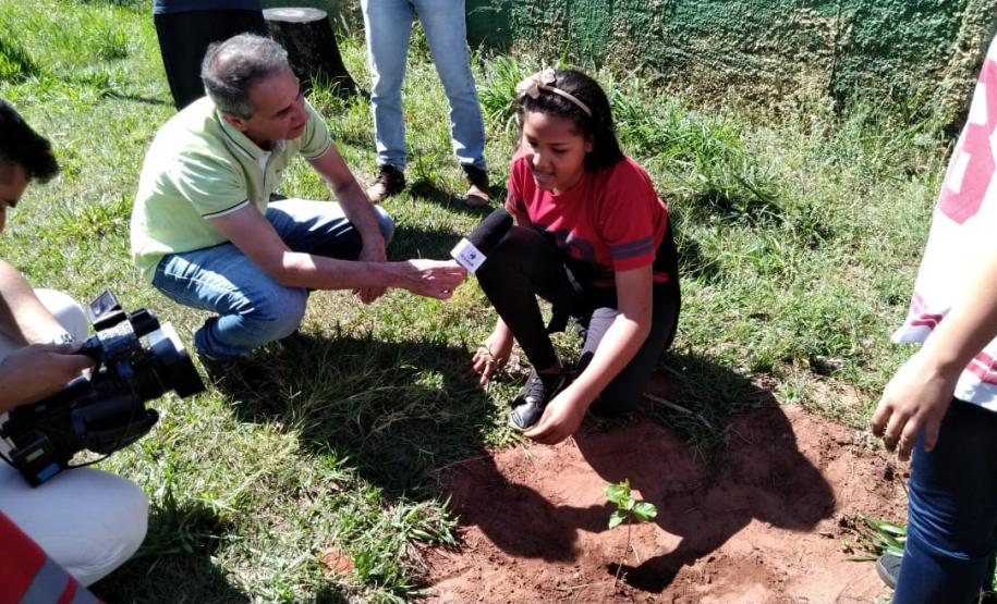 Colégio Estadual Dom Bosco