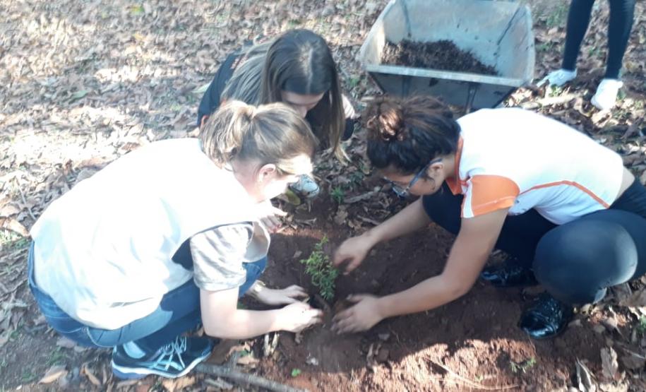Colégio Estadual Igléa Grollmann