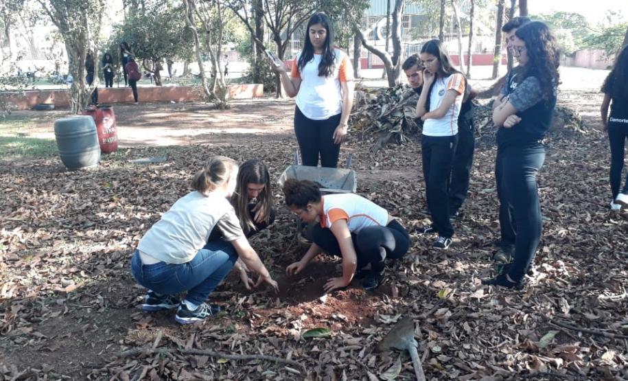 Colégio Estadual Igléa Grollmann