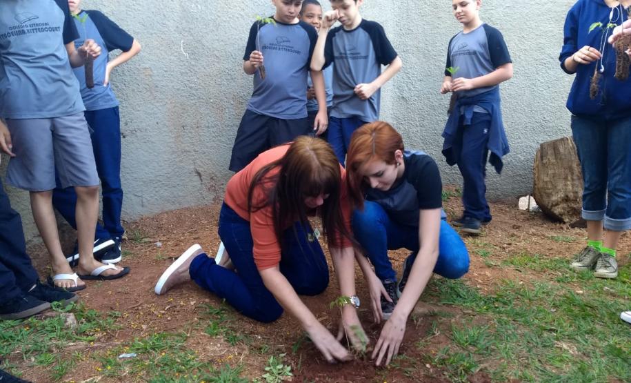 Colégio Estadual Itacelina Bittencourt