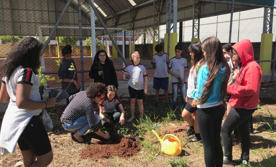 Colégio Estadual José Guimarães