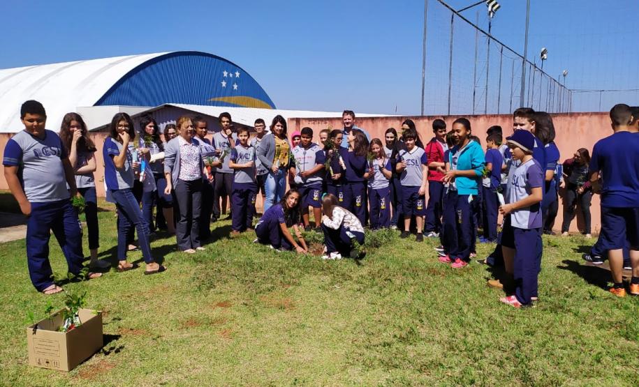 Colégio Estadual São Lourenço