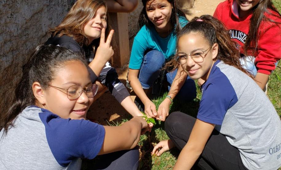 Colégio Estadual de Vidigal