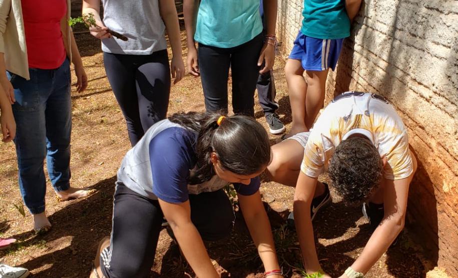 Colégio Estadual de Vidigal